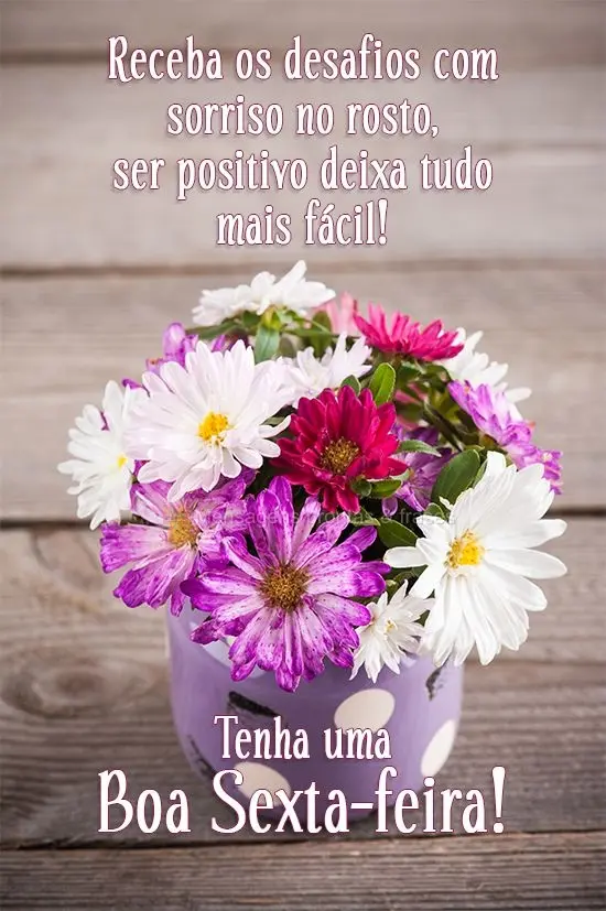 Receba os desafios com sorriso no rosto, ser positivo deixa tudo mais fácil! 
 Tenha uma Boa Sexta-feira!