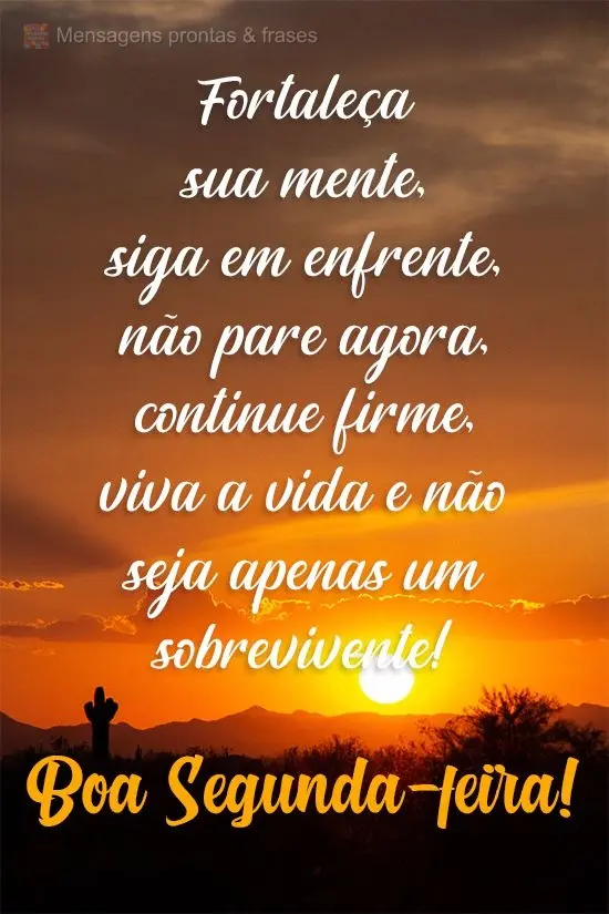 Fortaleça sua mente, siga em frente, não pare agora, continue firme. Viva a vida e não seja apenas um sobrevivente! 
 Boa Segunda-feira! 