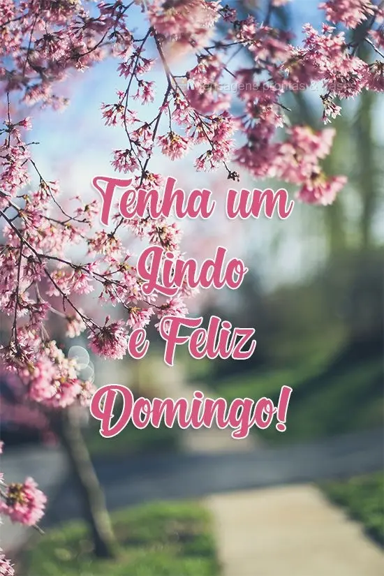 Tenha um Lindo e Feliz Domingo!
