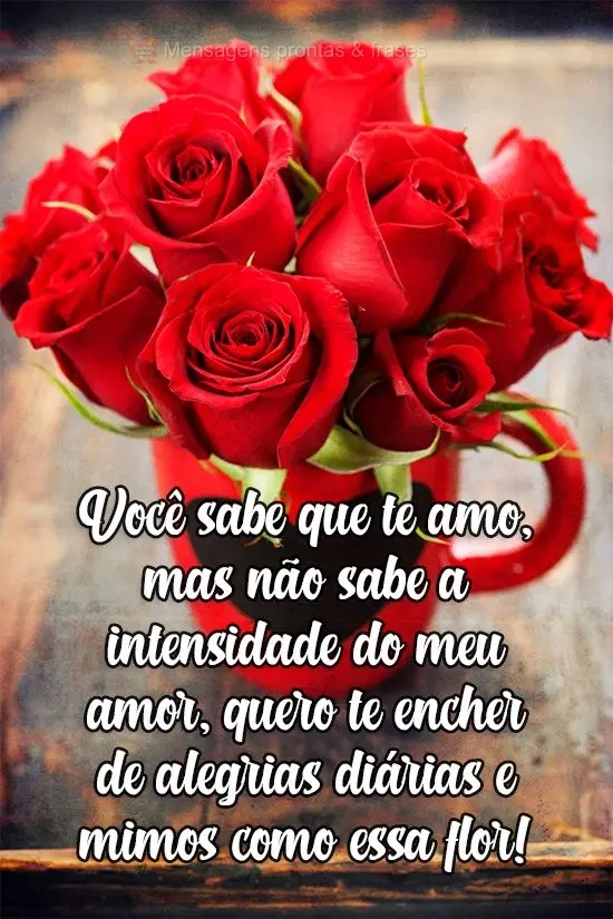 Você sabe que te amo, mas não sabe a intensidade do meu amor, quero te encher de alegrias diárias e mimos como essa flor!
