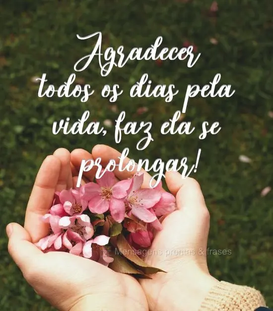 Agradecer todos os dias pela vida, faz ela se prolongar!
