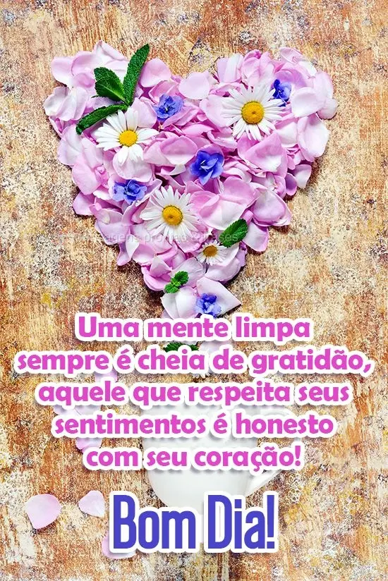 Uma mente limpa sempre é cheia de gratidão. Aquele que respeita seus sentimentos é honesto com seu coração! 
 Bom Dia!