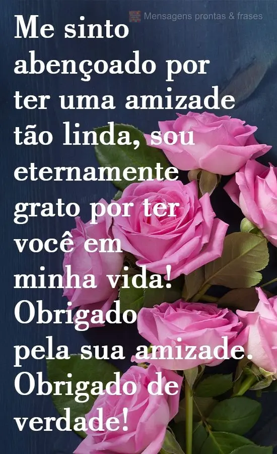 Me sinto abençoado por ter uma amizade tão linda, sou eternamente grato por ter você em minha vida! Obrigado pela sua amizade. Obrigado de verdade!
...