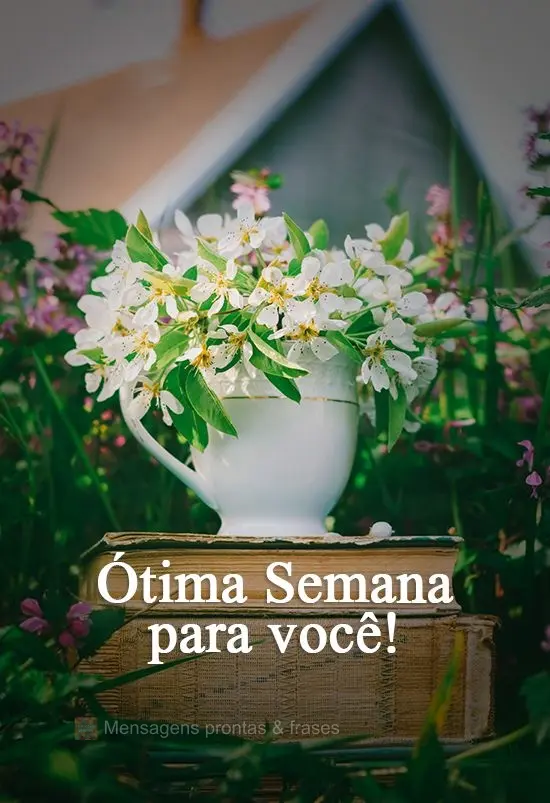 Ótima Semana para você! 
