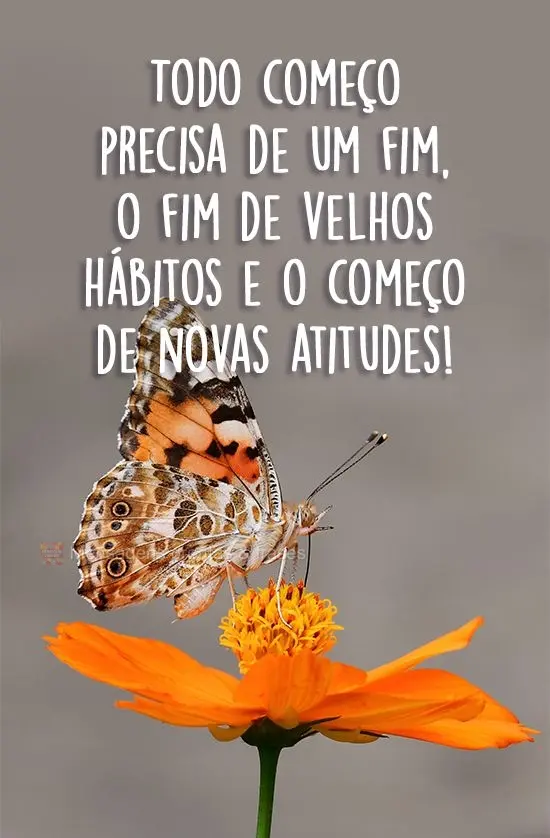 Todo começo precisa de um fim, o fim de velhos hábitos e o começo de novas atitudes!
