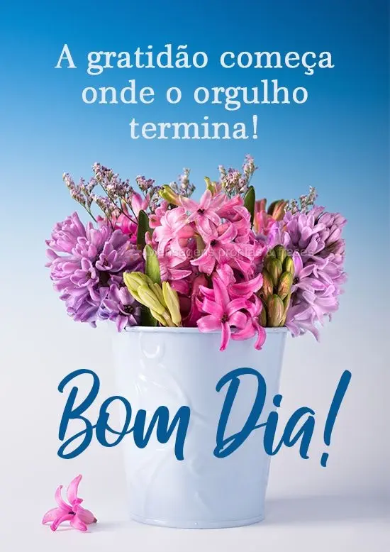 A gratidão começa onde o orgulho termina!  Bom Dia!