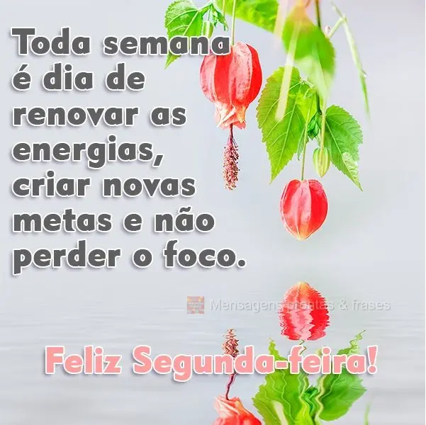 Todo início de semana é dia de renovar as energias, criar novas metas e não perder o foco. 
 Feliz Segunda-feira!