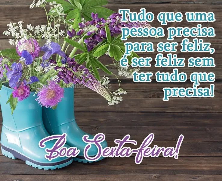 Tudo que uma pessoa precisa para ser feliz, é ser feliz sem ter tudo que precisa!  Boa Sexta-feira!