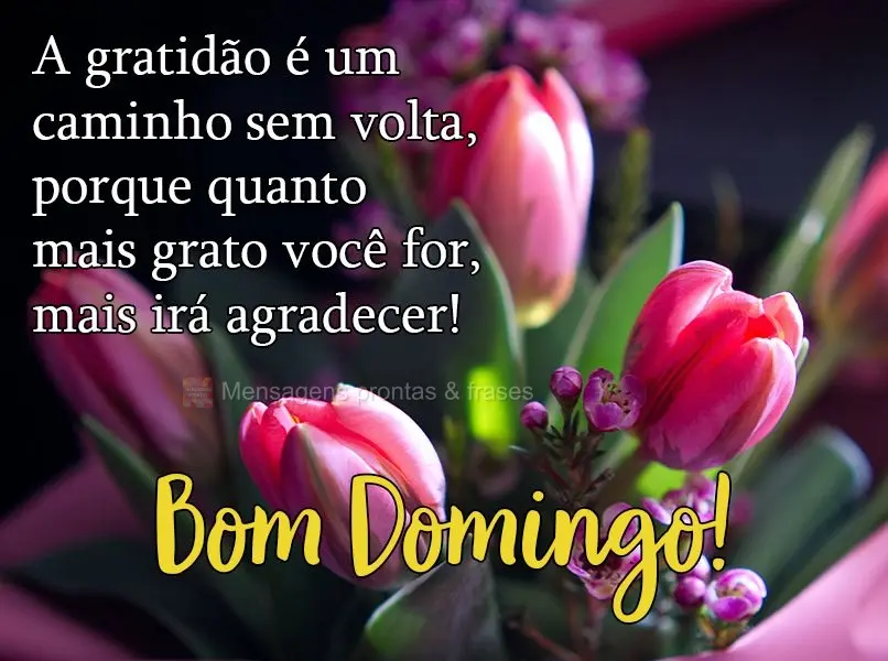 A gratidão é um caminho sem volta, porque quanto mais grato você for, mais irá agradecer! 
 Bom Domingo!