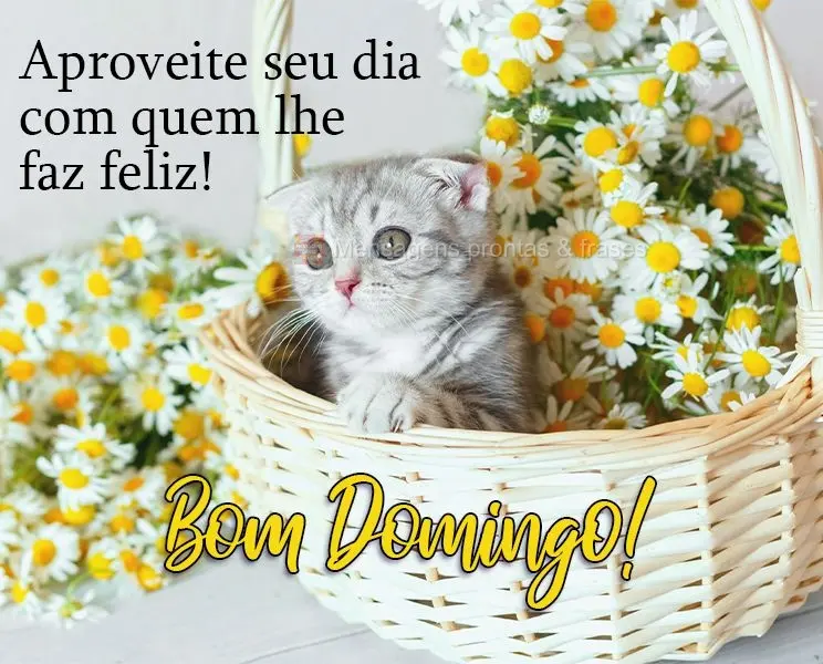 Aproveite seu dia com quem lhe faz feliz! 
 Bom Domingo!