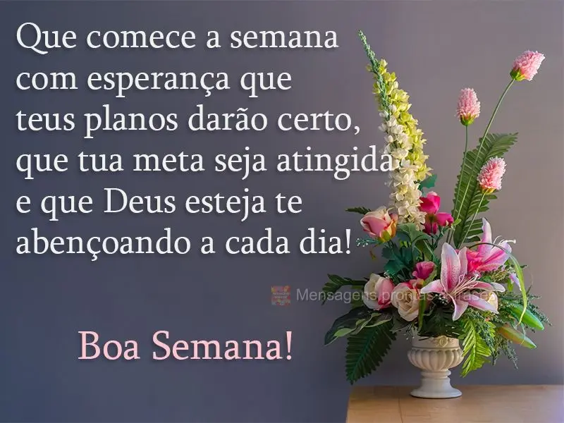 Que comece a semana com esperança que teus planos darão certo, que tua meta seja atingida e que Deus esteja te abençoando a cada dia! 
 Boa Semana!...