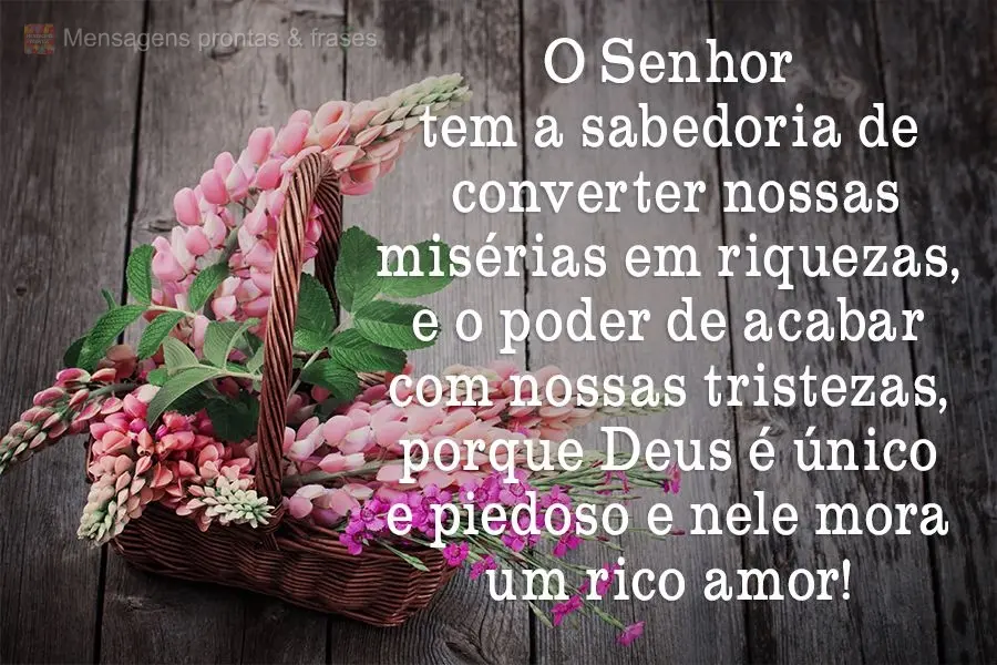 O Senhor tem a sabedoria de converter nossas misérias em riquezas, e o poder de acabar com nossas tristezas, porque Deus é único e piedoso e Nele mora...