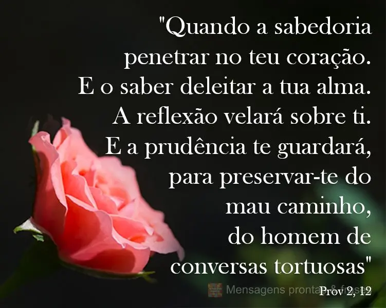 "Quando a sabedoria penetrar no teu coração, e o saber deleitar a tua alma, a reflexão velará sobre ti. E a prudência te guardará, para preservar-t...