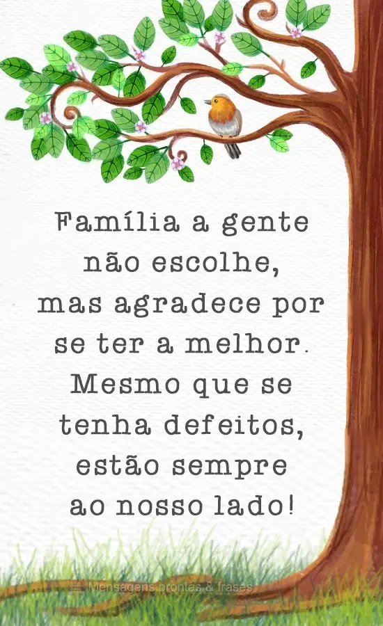 Família a gente não escolhe, mas agradece por se ter a melhor.
Mesmo que se tenha defeitos, estão sempre do nosso lado!