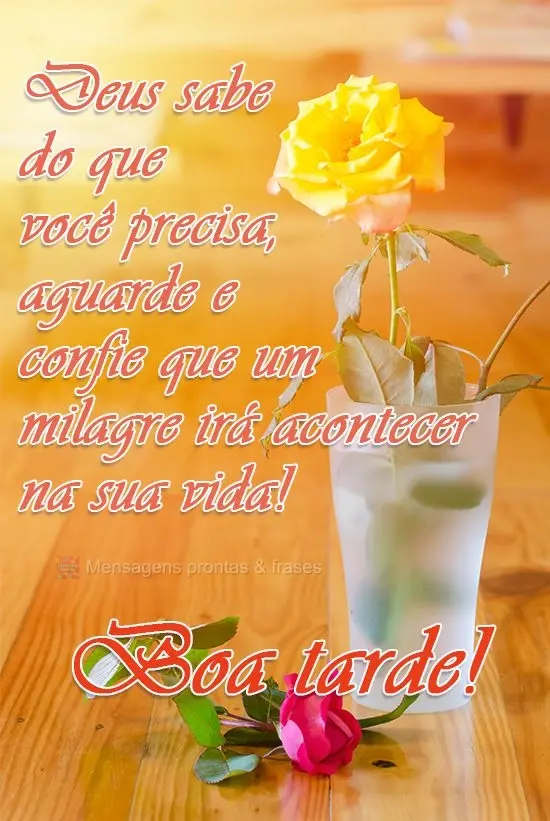 Deus sabe do que você precisa, aguarde e confie que um milagre irá acontecer na sua vida!  Boa Tarde! 