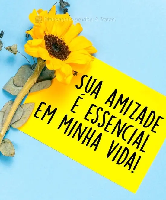 Sua amizade é essencial em minha vida!
