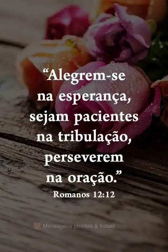 "Alegrem-se na esperança, sejam pacientes na tribulação, perseverem na oração." 
 Romanos 12:12