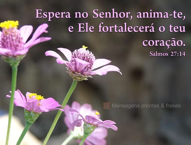 "Espera no Senhor, anima-te, e Ele fortalecerá o teu coração."  Salmos 27:14