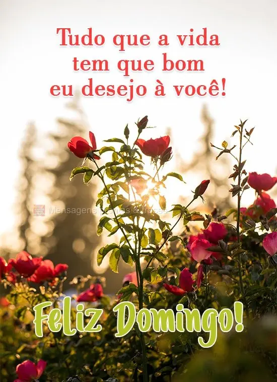 Tudo que a vida tem de bom eu desejo a você!  Feliz Domingo!