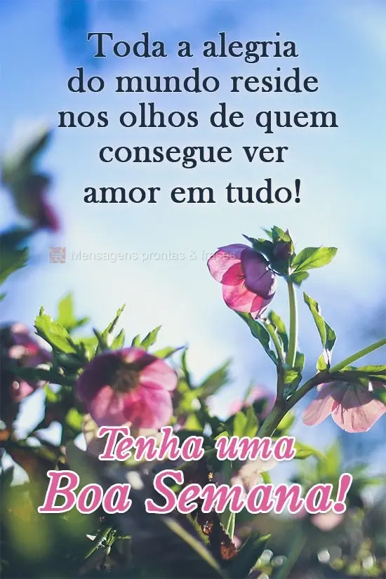 Toda a alegria do mundo reside nos olhos de quem consegue ver amor em tudo! 
 Tenha uma Boa Semana!