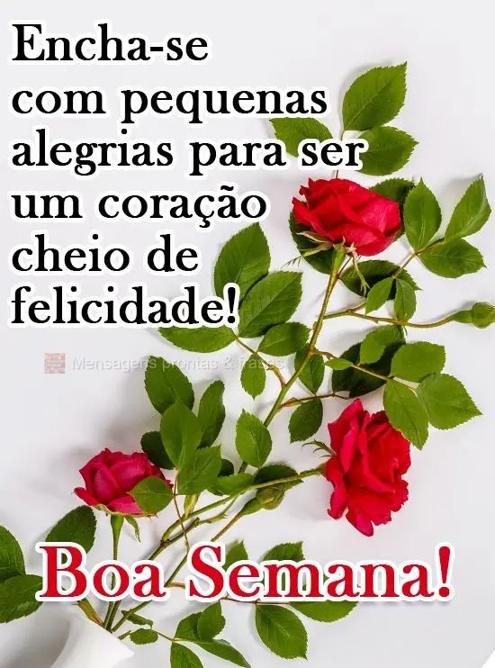 Encha-se com pequenas alegrias para ser um coração cheio de felicidade! 
 Boa Semana!