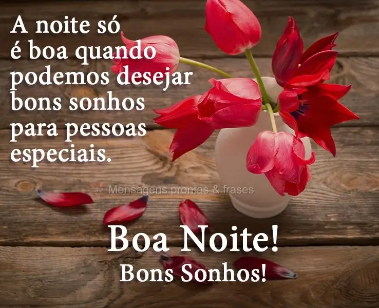 A noite só é boa quando podemos desejar bons sonhos para pessoas especiais. 
 Boa Noite! Bons Sonhos!