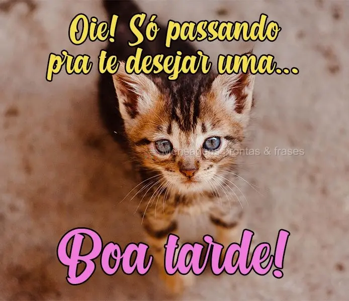 Oie!Só passando pra te desejar uma...
 Boa tarde!