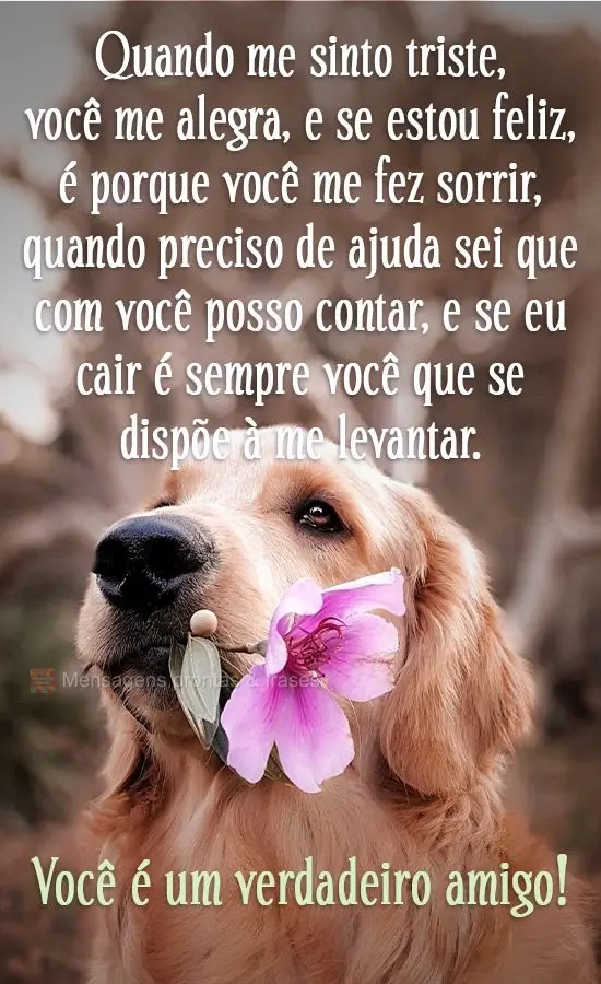 Quando me sinto triste, você me alegra, e se estou feliz, é porque você me fez sorrir. Quando preciso de ajuda sei que com você posso contar, e se eu...