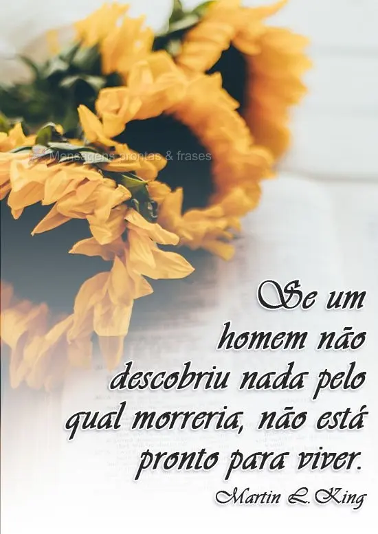 Se um homem não descobriu nada pelo qual morreria, não está pronto para viver. Martin Luther King