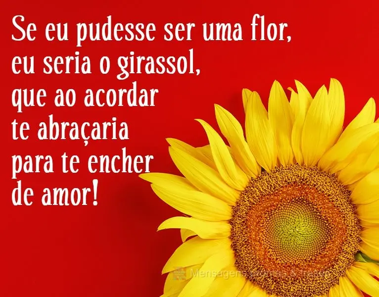 Se eu pudesse ser uma flor, eu seria o girassol, e ao acordar te abraçaria para te encher de amor!
