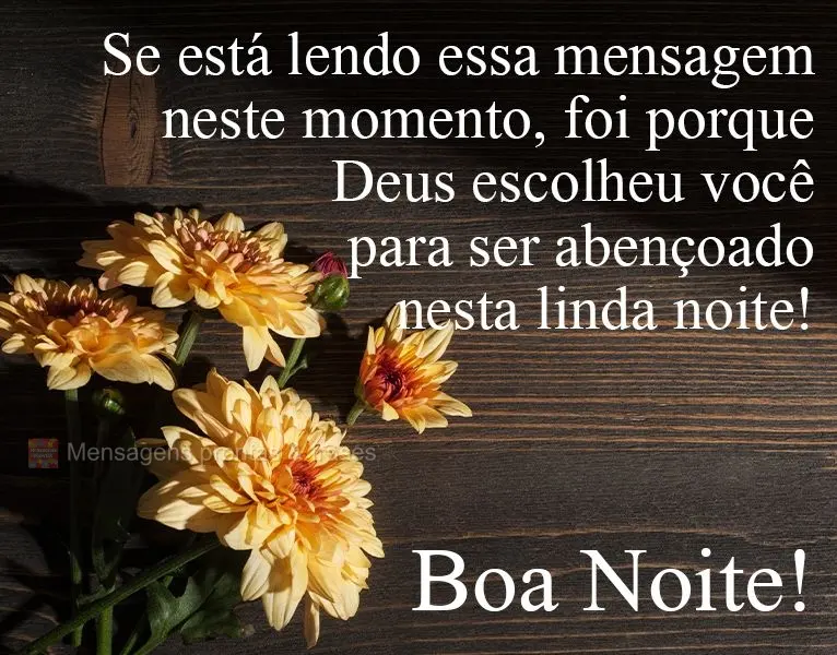 Se está lendo essa mensagem neste momento, foi porque Deus escolheu você para ser abençoado nesta linda noite! 
 Boa Noite!