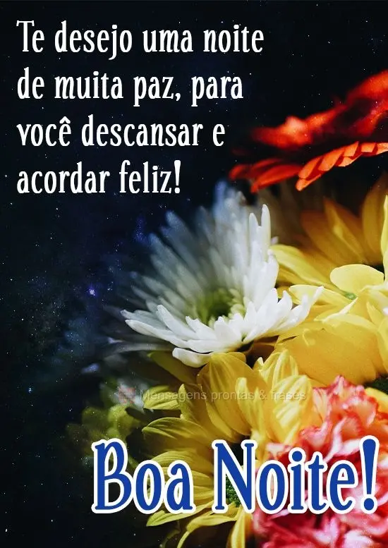 Te desejo uma noite de muita paz, para você descansar e acordar feliz!
  Boa Noite!