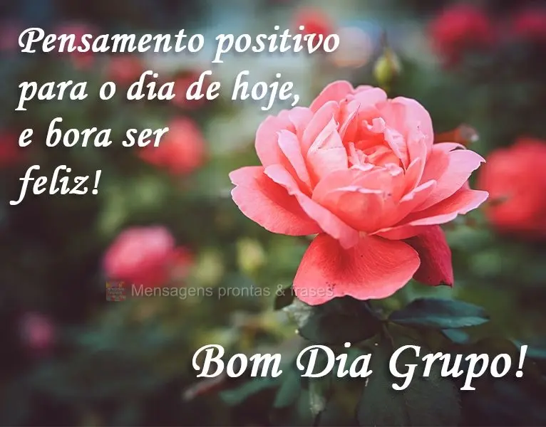 Pensamento positivo para o dia de hoje, e bora ser feliz!
  Bom Dia Grupo!