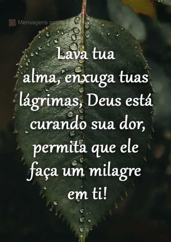 Lava tua alma, enxuga tuas lágrimas. Deus está curando sua dor, permita que ele faça um milagre em ti!
