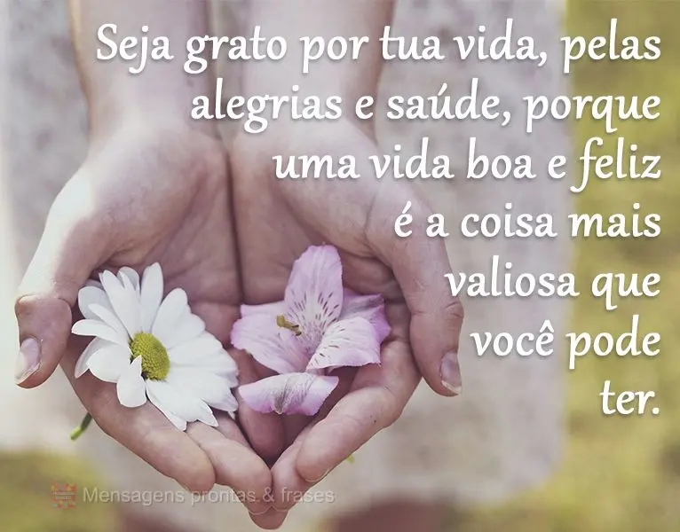 Seja grato por tua vida, pelas alegrias e saúde, porque uma vida boa e feliz é a coisa mais valiosa que você pode ter.
