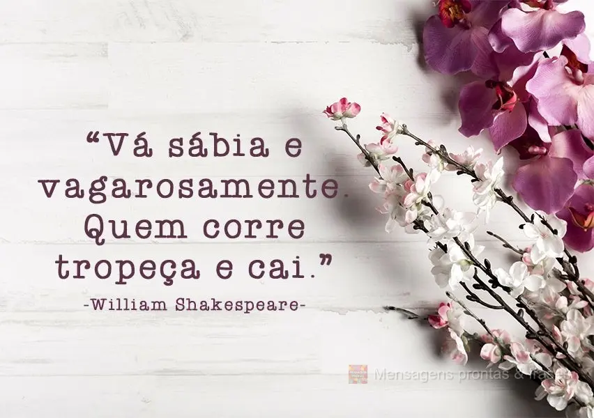 "Vá sábia e vagarosamente. Quem corre tropeça e cai." William Shakespeare