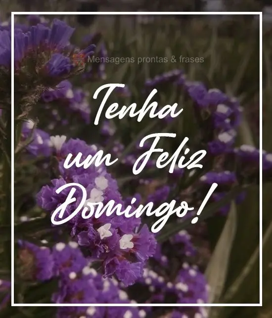 Tenha um Feliz Domingo!
