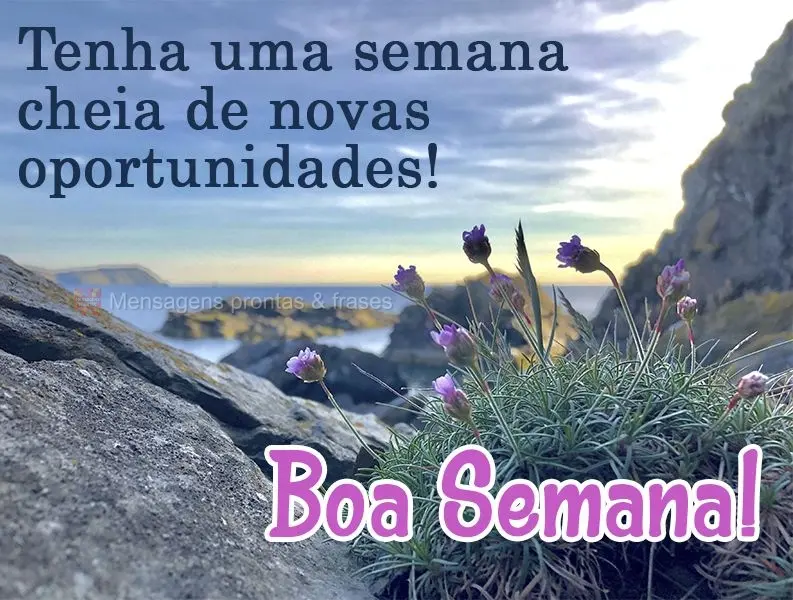 Tenha uma semana cheia de novas oportunidades!  Boa Semana!