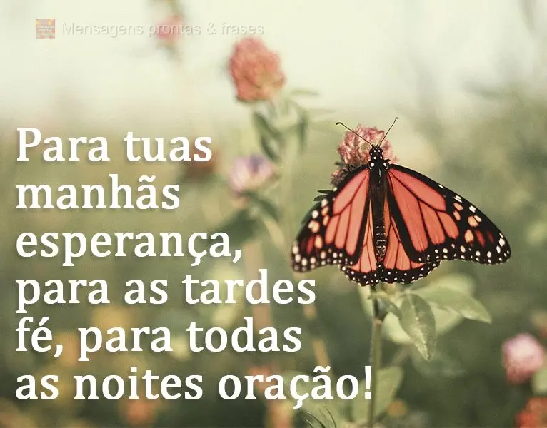 Para tuas manhãs, esperança; para as tardes, fé; para todas as noites, oração!
