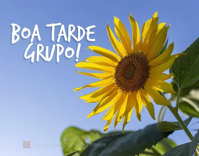 Boa tarde grupo!
