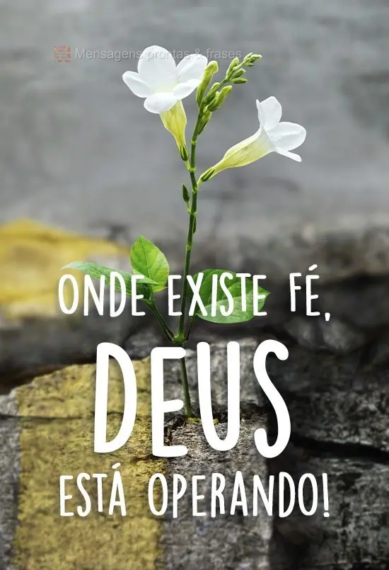 Onde existe Fé, Deus está operando!
