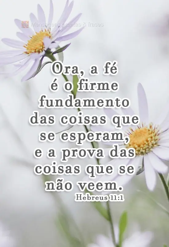 Ora, a fé é o firme fundamento das coisas que se esperam, e a prova das coisas que se não veem. 
 Hebreus 11:1