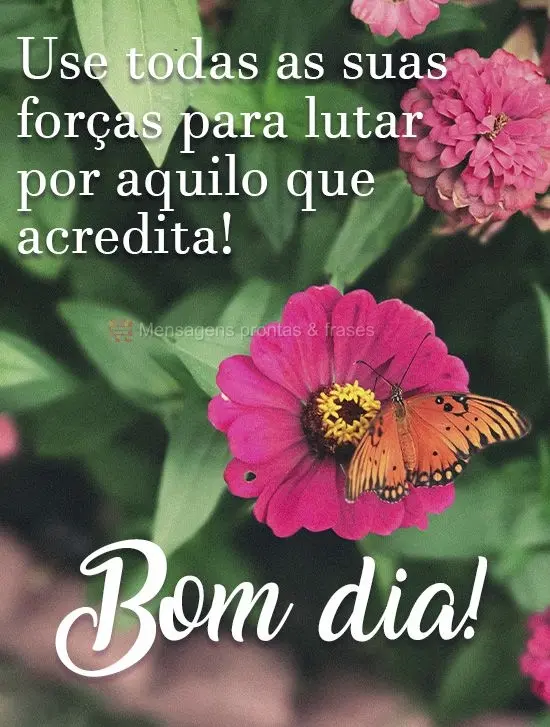 Use todas as suas forças para lutar por aquilo que acredita!  Bom dia!