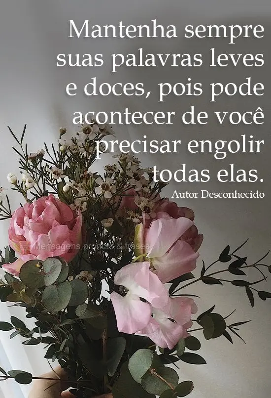 "Mantenha sempre suas palavras leves e doces, pois pode acontecer de você precisar engolir todas elas." Autor Desconhecido