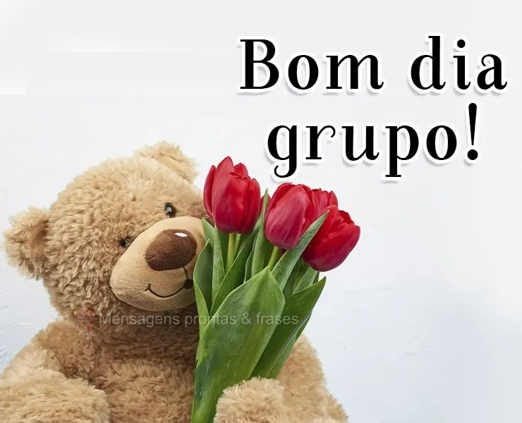 Bom dia grupo!
