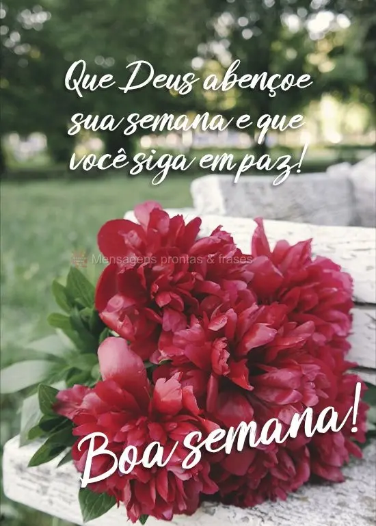 Que Deus abençoe sua semana e que você siga em paz!  Boa semana!