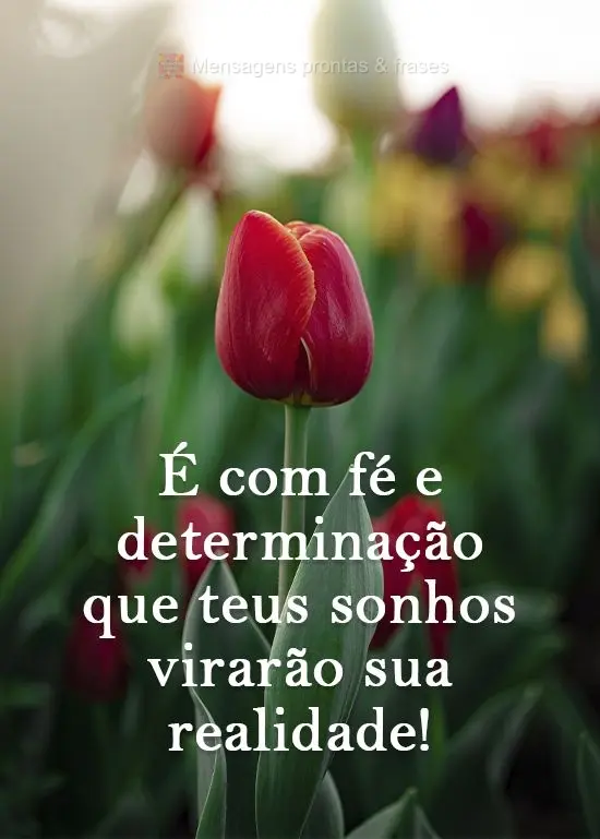 É com fé e determinação que teus sonhos virarão sua realidade!
