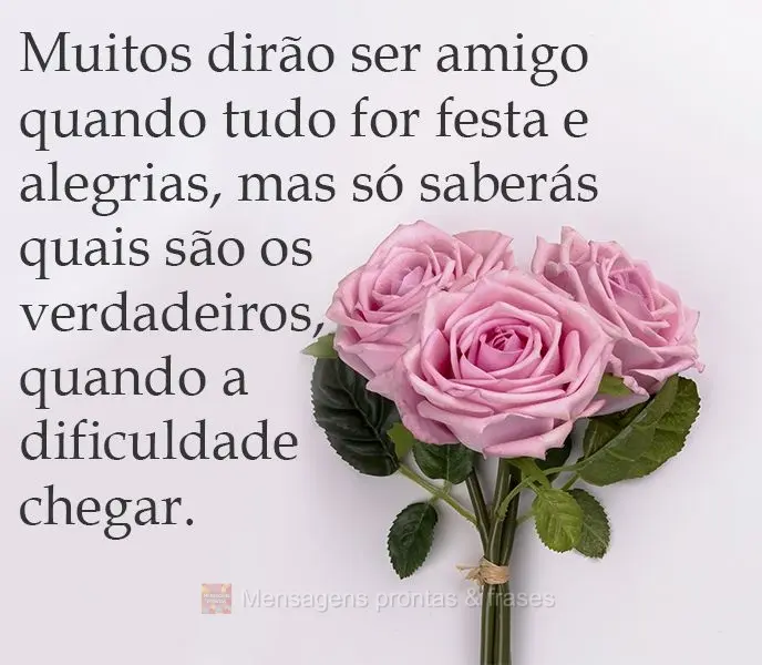 Muitos se dirão amigos quando tudo for festa e alegria, mas só saberás quais são os verdadeiros, quando a dificuldade chegar.