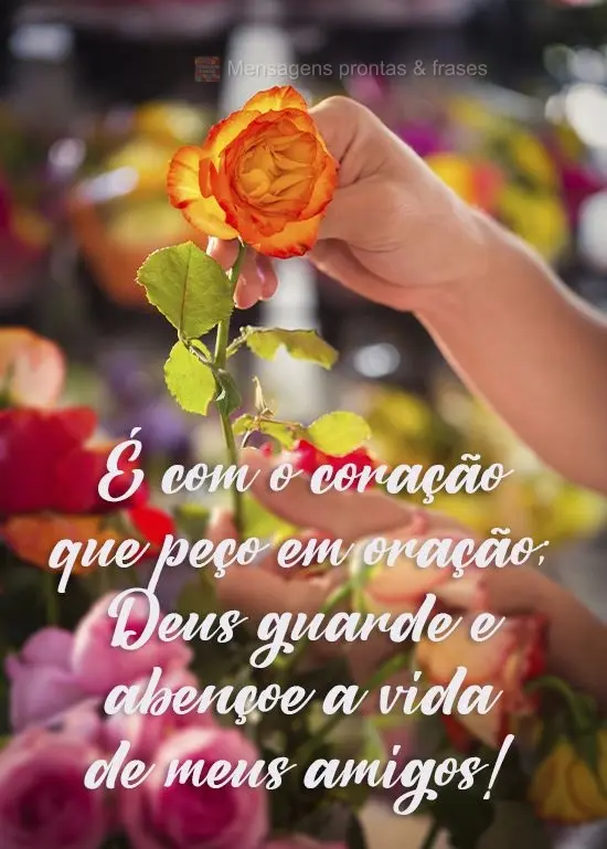 É com o coração que peço em oração; Deus guarde e abençoe a vida de meus amigos!
