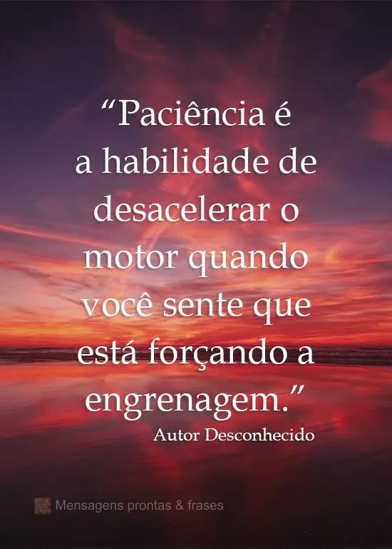 "Paciência é a habilidade de desacelerar o motor quando você sente que está forçando a engrenagem." Autor Desconhecido